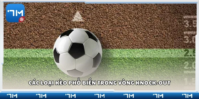 Một số loại kèo phổ biến trong vòng knock-out