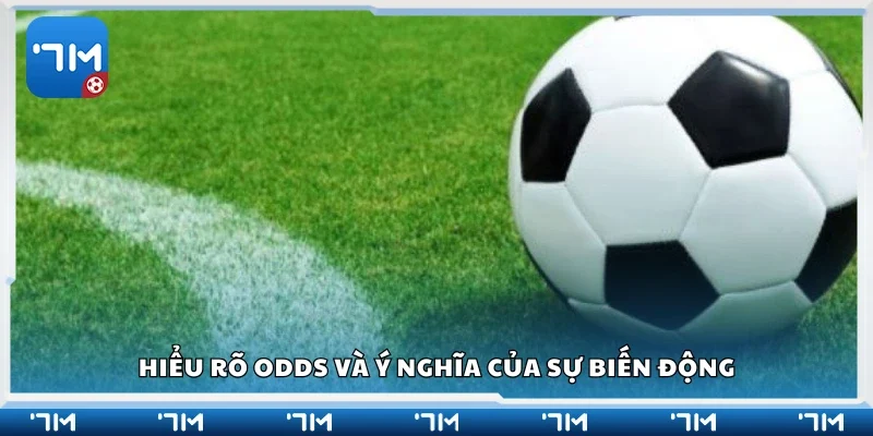 Tìm hiểu về odds và ý nghĩa của sự biến động